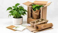 //iqrorwxhjmmllj5p.ldycdn.com/cloud/plBplKpklqSRqlprrrkrkq/Live-Plant-Shipping-Packaging.jpg