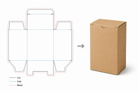 Flat Dieline And Finished Paper Box.jpg
