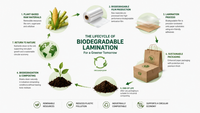 //iqrorwxhjmmllj5p.ldycdn.com/cloud/poBplKpklqSRqlljrniikq/Biodegradable-Lamination-Lifecycle.png