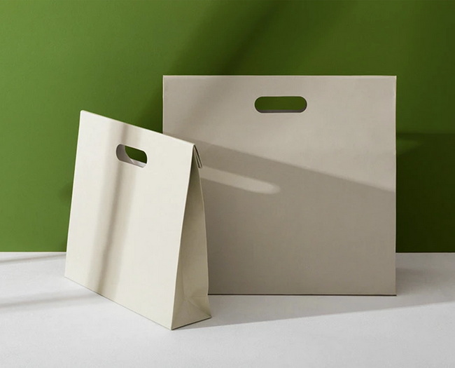 Custom Paper Shopping Bags The Complete 2026 Guide for Brand‑First, Eco‑Friendly Retail Packaging
